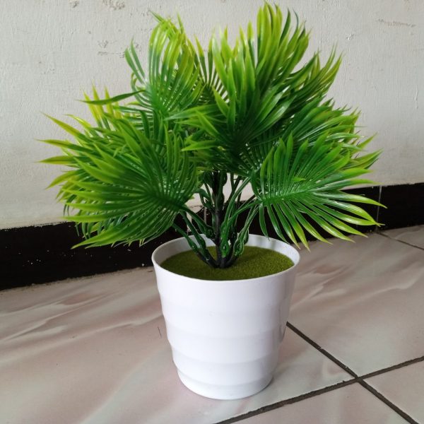 ini adalah Bunga Plastik Tera, size: 27cm, material: Plastic, color: green, brand: bungaterabojonegoro, age_group: all ages, gender: unisex